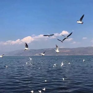 把🍌伸进女人的🍑洗澡动漫
